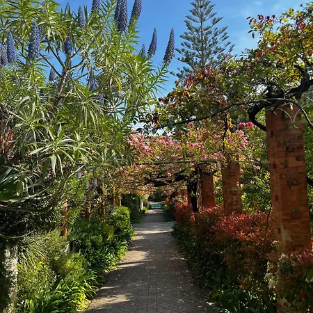 Ombrage 44m2 Riviera Palace Belle-epoque, Restomod Et Literie Prestige * Menton