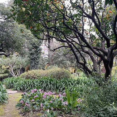 Ombrage 44m2 Riviera Palace Belle-epoque, Restomod Et Literie Prestige Lejlighed